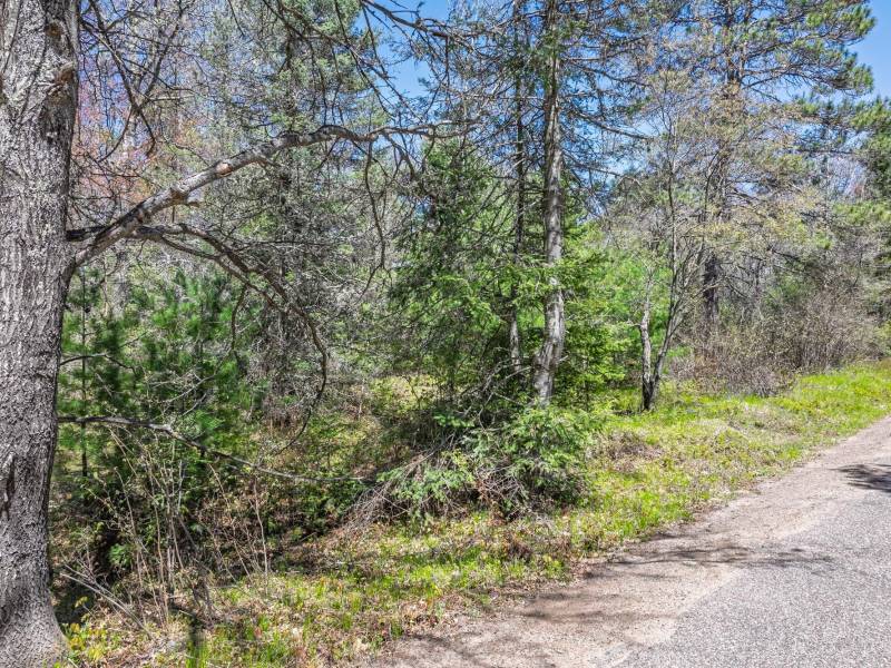 Lot 4 Off River Rd, , Cloverland,  WI 54521