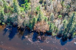 Lot 4 Off River Rd, , Cloverland,  WI 54521