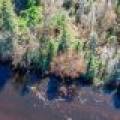 Lot 4 Off River Rd, , Cloverland,  WI 54521