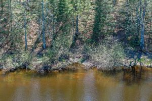 Lot 4 Off River Rd, , Cloverland,  WI 54521