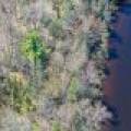 Lot 4 Off River Rd, , Cloverland,  WI 54521