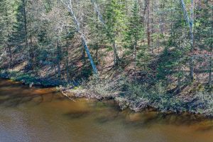 Lot 5 Off River Rd, , Cloverland,  WI 54521