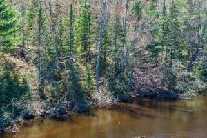 Lot 5 Off River Rd, , Cloverland,  WI 54521