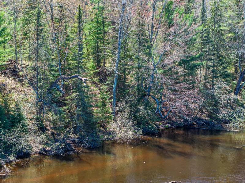 Lot 5 Off River Rd, , Cloverland,  WI 54521