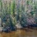 Lot 5 Off River Rd, , Cloverland,  WI 54521