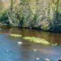 Lot 6 Off River Rd, , Cloverland,  WI 54521