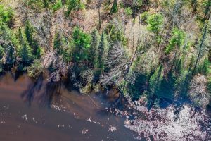 Lot 6 Off River Rd, , Cloverland,  WI 54521