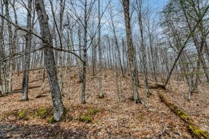 Lot 7 Off Johnson Ln, , Winchester,  WI 54557