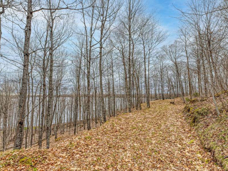 Lot 7 Off Johnson Ln, , Winchester,  WI 54557