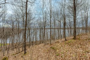 Lot 7 Off Johnson Ln, , Winchester,  WI 54557