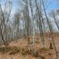 Lot 8 Off Johnson Ln, , Winchester,  WI 54557