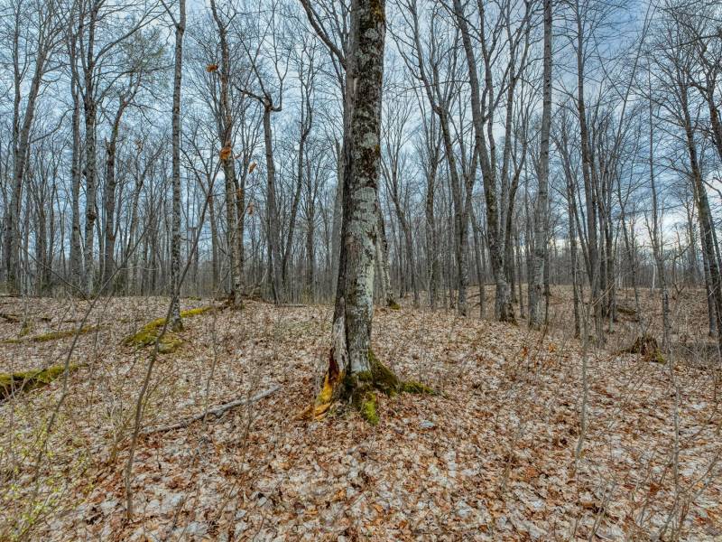 Lot 8 Off Johnson Ln, , Winchester,  WI 54557