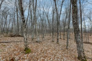 Lot 8 Off Johnson Ln, , Winchester,  WI 54557