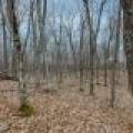 Lot 8 Off Johnson Ln, , Winchester,  WI 54557