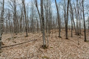 Lot 8 Off Johnson Ln, , Winchester,  WI 54557