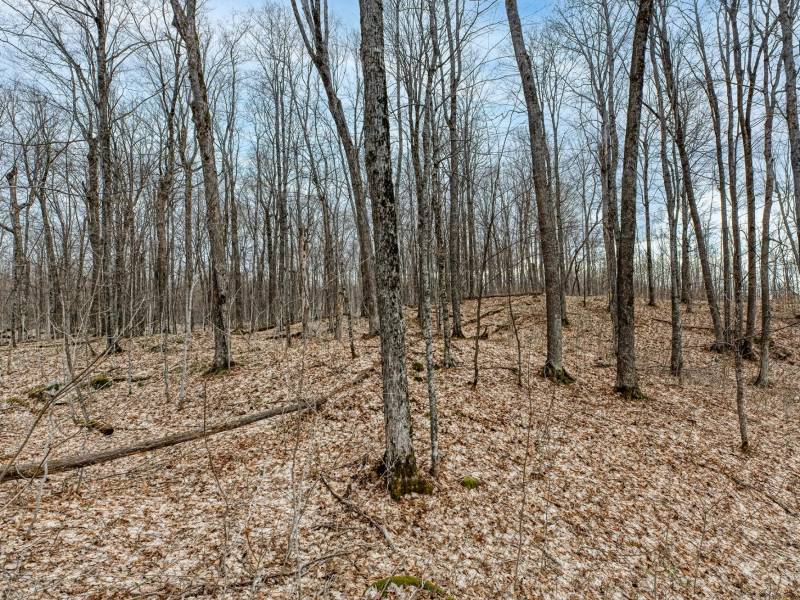 Lot 8 Off Johnson Ln, , Winchester,  WI 54557