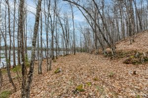 Lot 8 Off Johnson Ln, , Winchester,  WI 54557