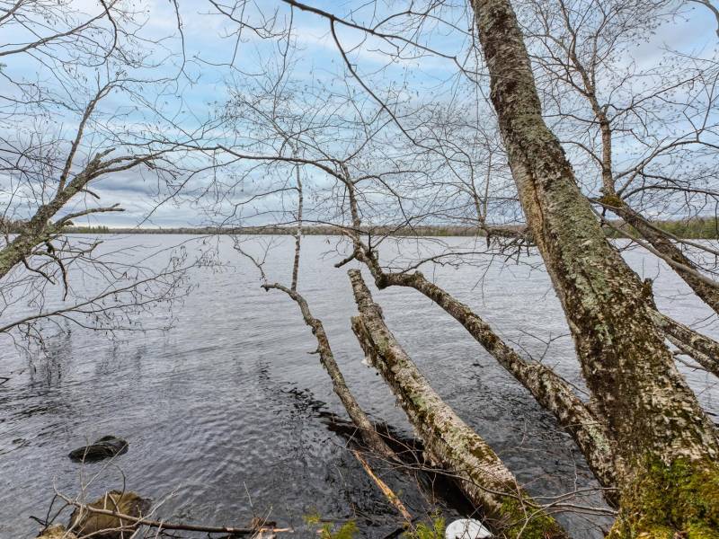 Lot 8 Off Johnson Ln, , Winchester,  WI 54557