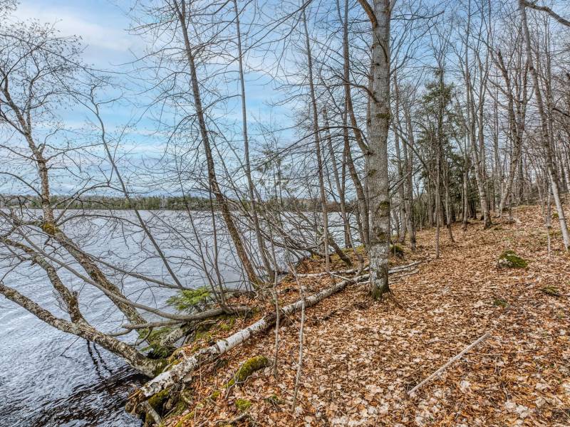 Lot 8 Off Johnson Ln, , Winchester,  WI 54557