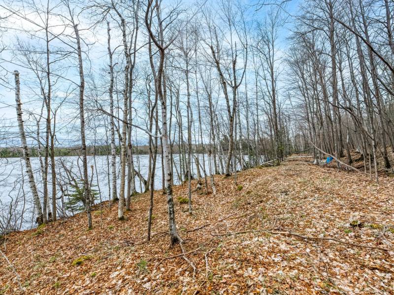 Lot 8 Off Johnson Ln, , Winchester,  WI 54557