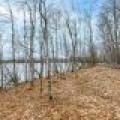 Lot 8 Off Johnson Ln, , Winchester,  WI 54557