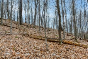 Lot 8 Off Johnson Ln, , Winchester,  WI 54557