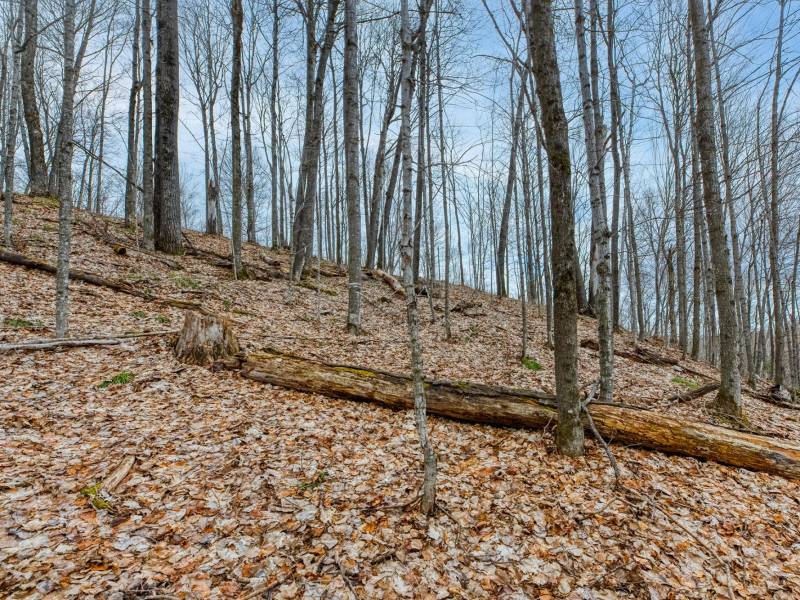 Lot 8 Off Johnson Ln, , Winchester,  WI 54557