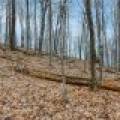Lot 8 Off Johnson Ln, , Winchester,  WI 54557