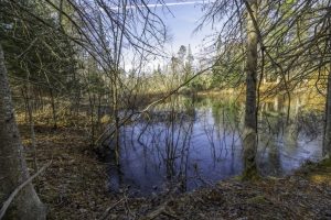 8 River Ridge Pt, , Boulder Junction,  WI 54512 United States