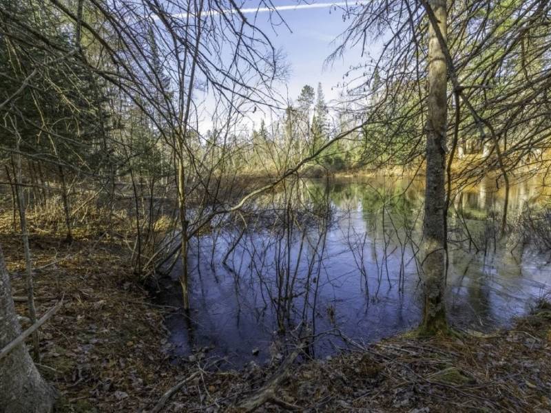 8 River Ridge Pt, , Boulder Junction,  WI 54512 United States