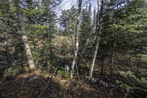 8 River Ridge Pt, , Boulder Junction,  WI 54512 United States
