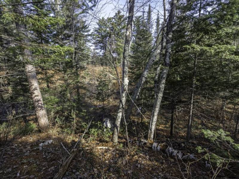 8 River Ridge Pt, , Boulder Junction,  WI 54512 United States