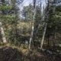 8 River Ridge Pt, , Boulder Junction,  WI 54512 United States