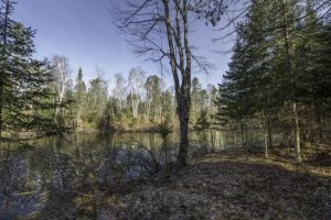 8 River Ridge Pt, , Boulder Junction,  WI 54512 United States