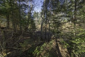 8 River Ridge Pt, , Boulder Junction,  WI 54512 United States