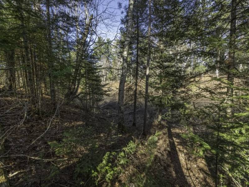 8 River Ridge Pt, , Boulder Junction,  WI 54512 United States