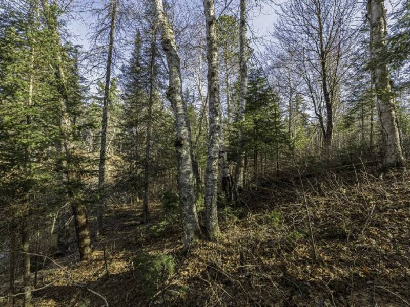 9 River Ridge Pt, , Boulder Junction,  WI 54512 United States