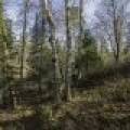 8 River Ridge Pt, , Boulder Junction,  WI 54512 United States