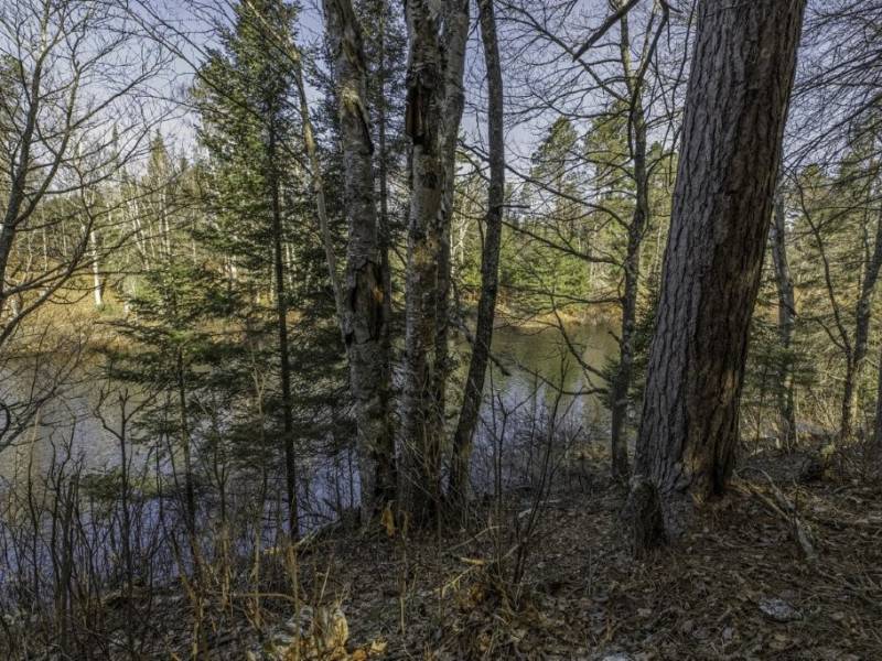 8 River Ridge Pt, , Boulder Junction,  WI 54512 United States