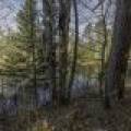 9 River Ridge Pt, , Boulder Junction,  WI 54512 United States