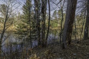 8 River Ridge Pt, , Boulder Junction,  WI 54512 United States