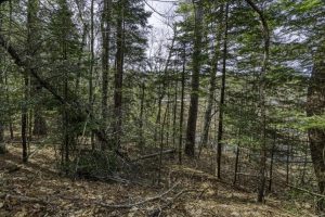 Off Sanctuary Dr, , Presque Isle,  WI 54557