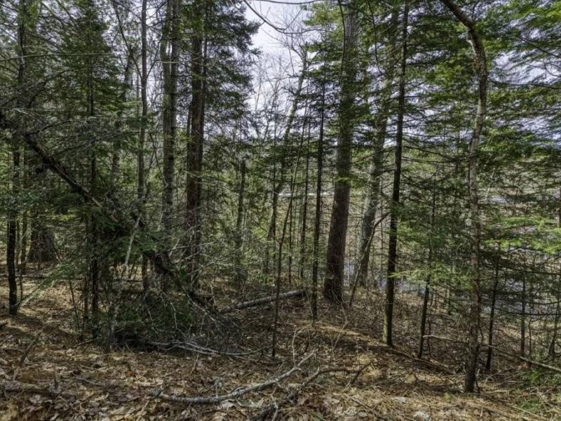Off Sanctuary Dr, , Presque Isle,  WI 54557