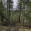 Off Sanctuary Dr, , Presque Isle,  WI 54557