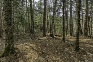 Off Sanctuary Dr, , Presque Isle,  WI 54557
