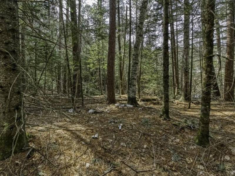 Off Sanctuary Dr, , Presque Isle,  WI 54557