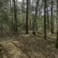 Off Sanctuary Dr, , Presque Isle,  WI 54557