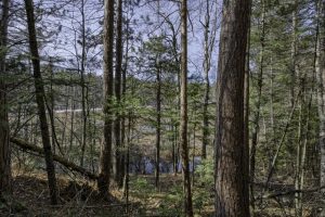 Off Sanctuary Dr, , Presque Isle,  WI 54557