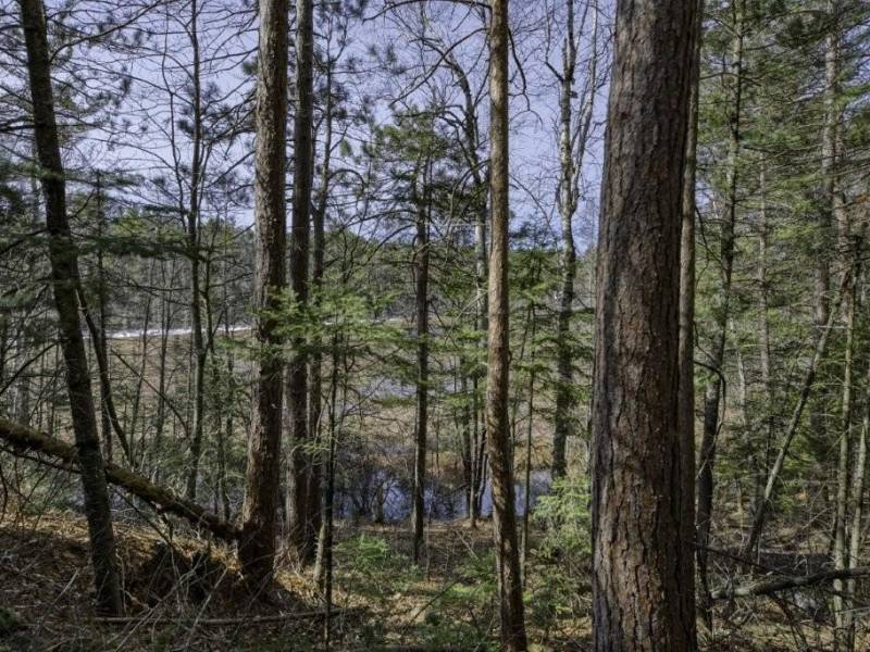 Off Sanctuary Dr, , Presque Isle,  WI 54557