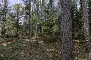 Off Sanctuary Dr, , Presque Isle,  WI 54557